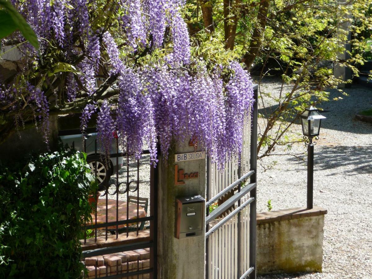 B&B Selisa Bene Vagienna Εξωτερικό φωτογραφία